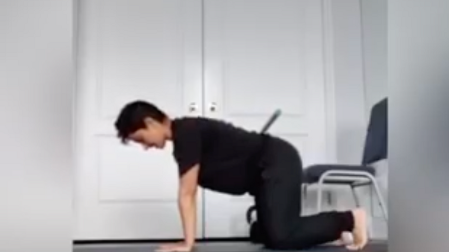 IDs Quadruped Training